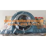 GỐI ĐỠ UKP207 ASAHI